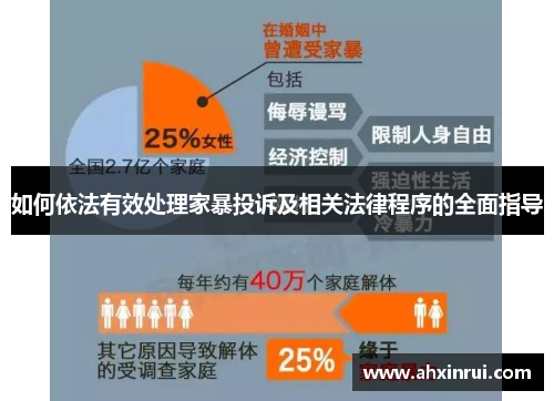 如何依法有效处理家暴投诉及相关法律程序的全面指导