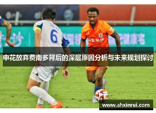 申花放弃费南多背后的深层原因分析与未来规划探讨